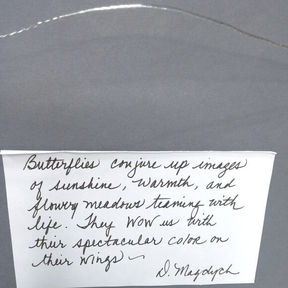 Whimsical Winged Butterfly Framed Art Hand Crafted 10x10 Blue Morpho Family 3D - Picture 11 of 13